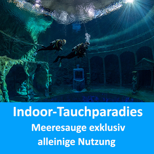 Indoortauchparadies Dive4Life - Meeresauge exklusiv @ Dive4Life Indoortauchparadies